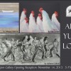 AYL 2013 front postcard