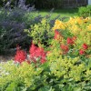 frontgarden6